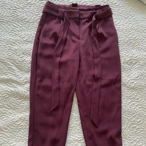 Express Dress Pants